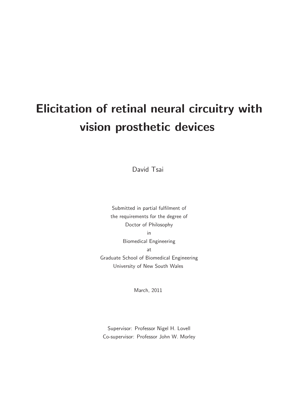 Elicitation of Retinal Neural Circuitry with Vision Prosthetic Devices