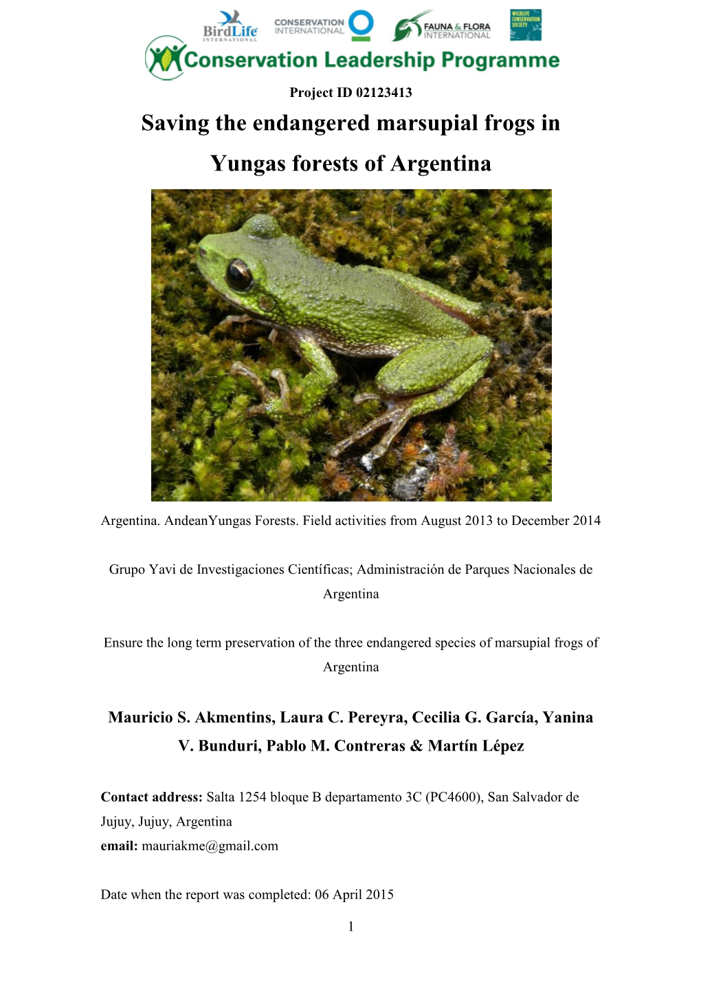 Marsupial Frogs in Argentina