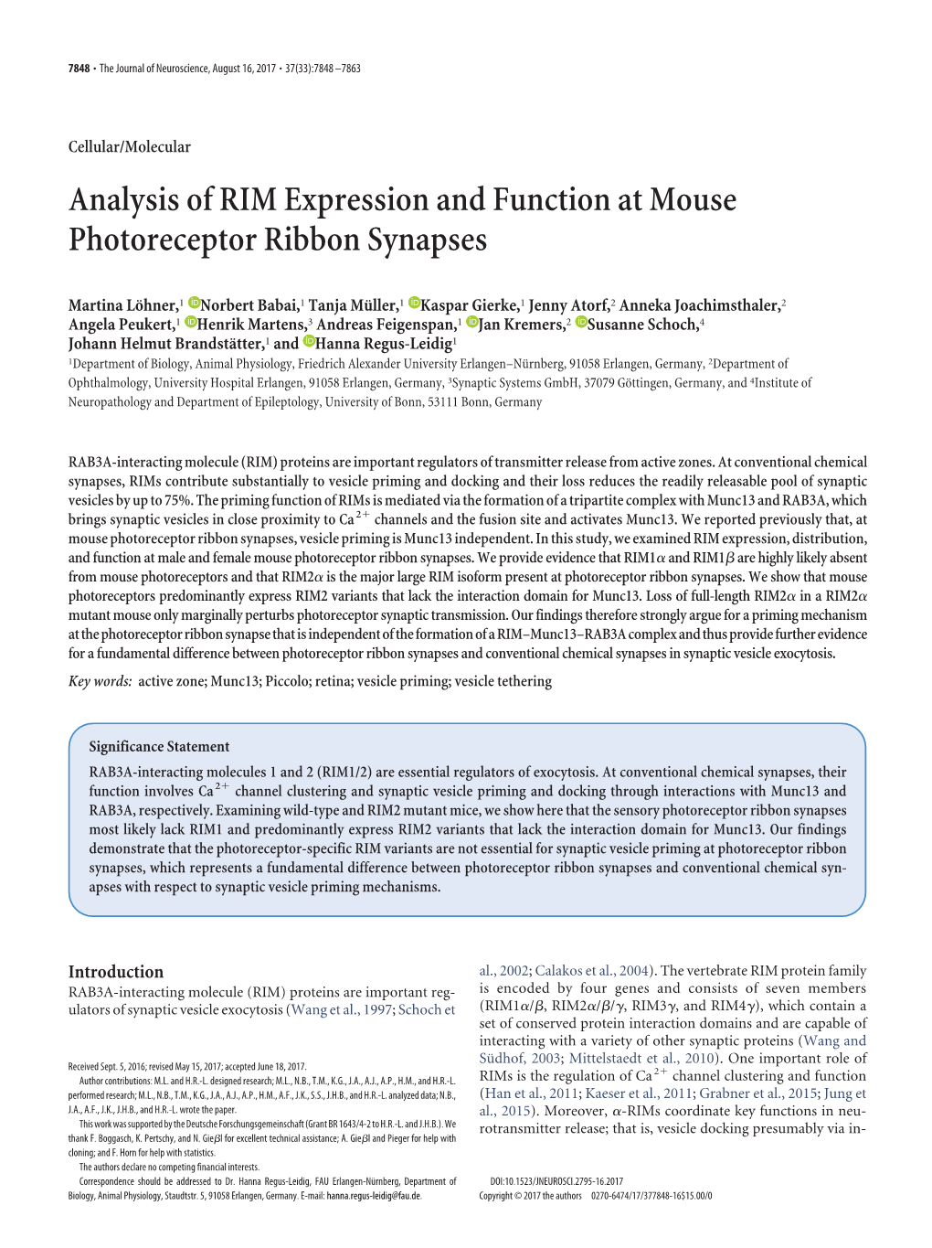 Analysis of RIM Expression and Function at Mouse Photoreceptor Ribbon Synapses