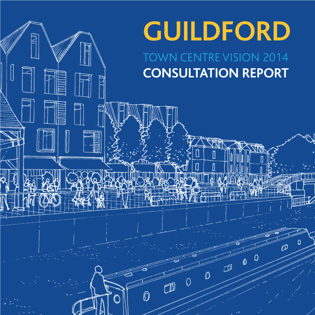 Consultation Report