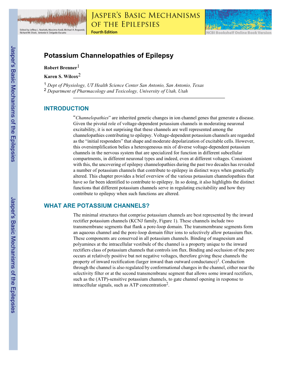 Potassium Channelopathies of Epilepsy