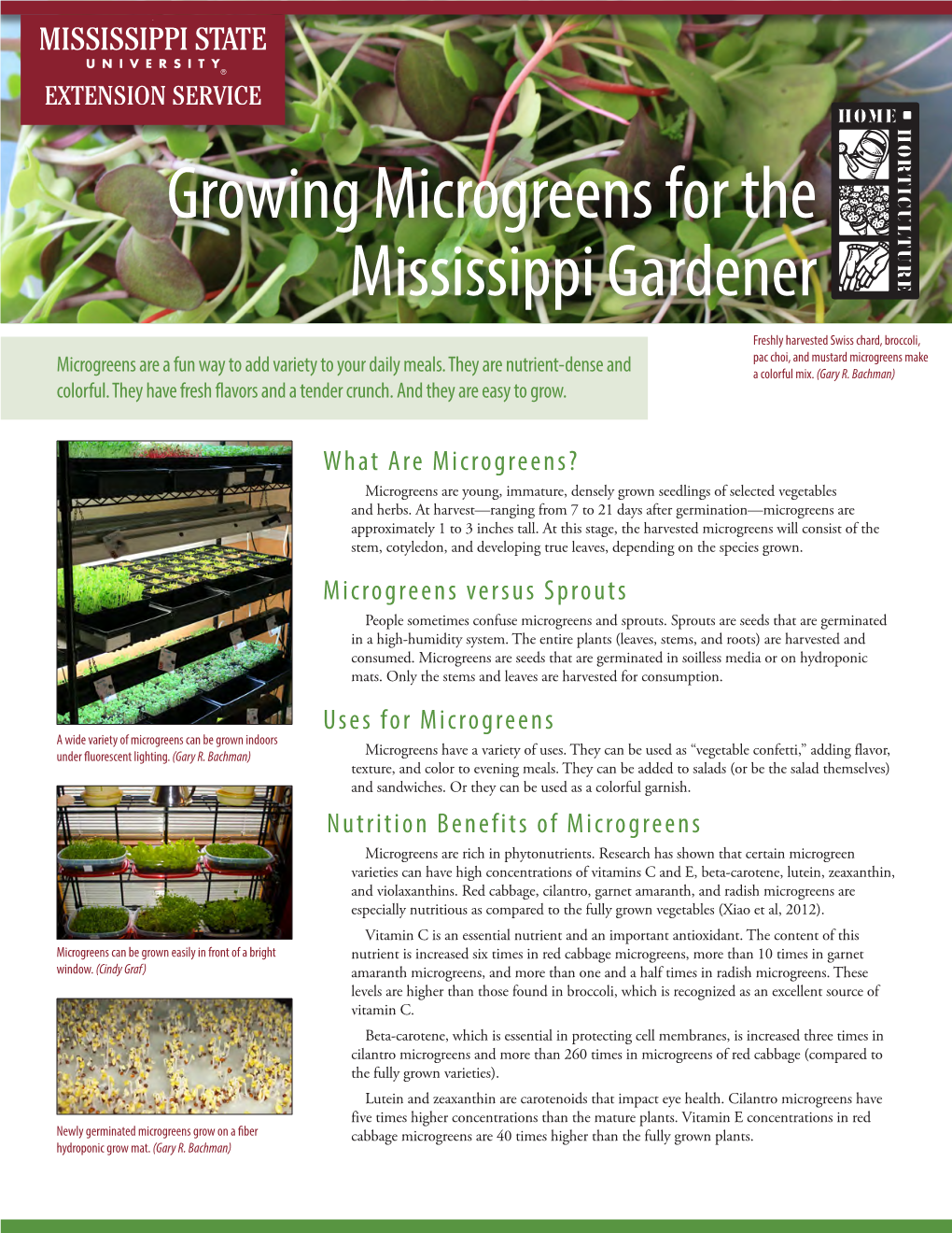 Growing Microgreens for the Mississippi Gardener