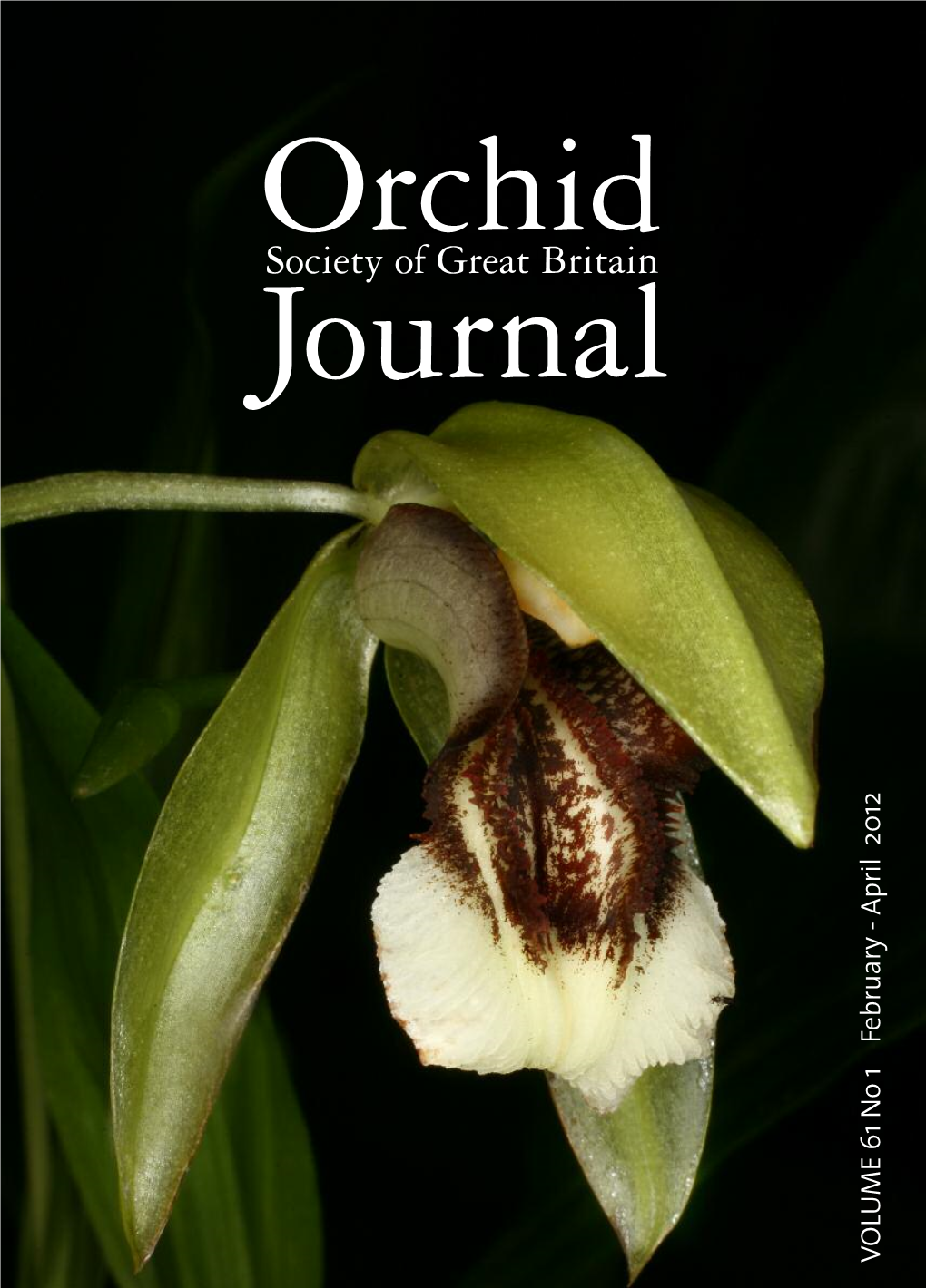 Orchids in Vietnam Tel: 01895 632689 Mobile: 07980 630235 Mrs Diana Neophytou Particularly Interesting for All Those Who by Francis Quesada-Pallares