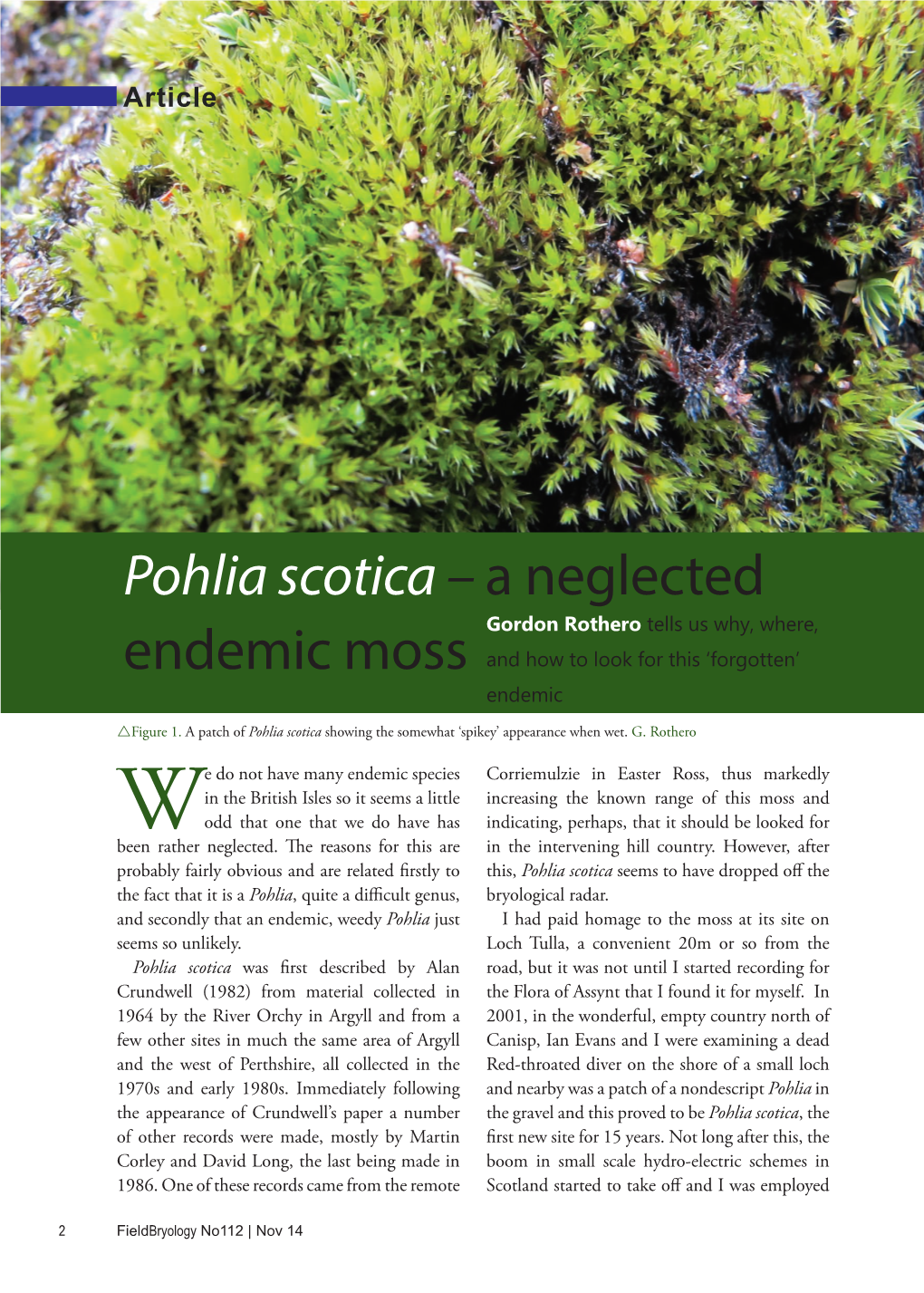 Pohlia Scotica – a Neglected Gordon Rothero Tells Us Why, Where, Endemic Moss and How to Look for This ‘Forgotten’ Endemic