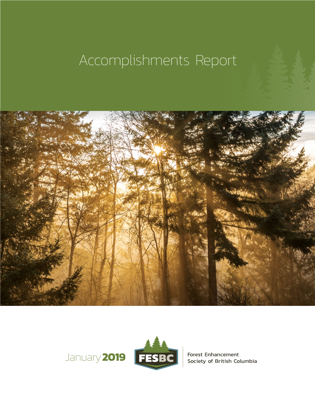 FESBC Accomplishments Report January 2019