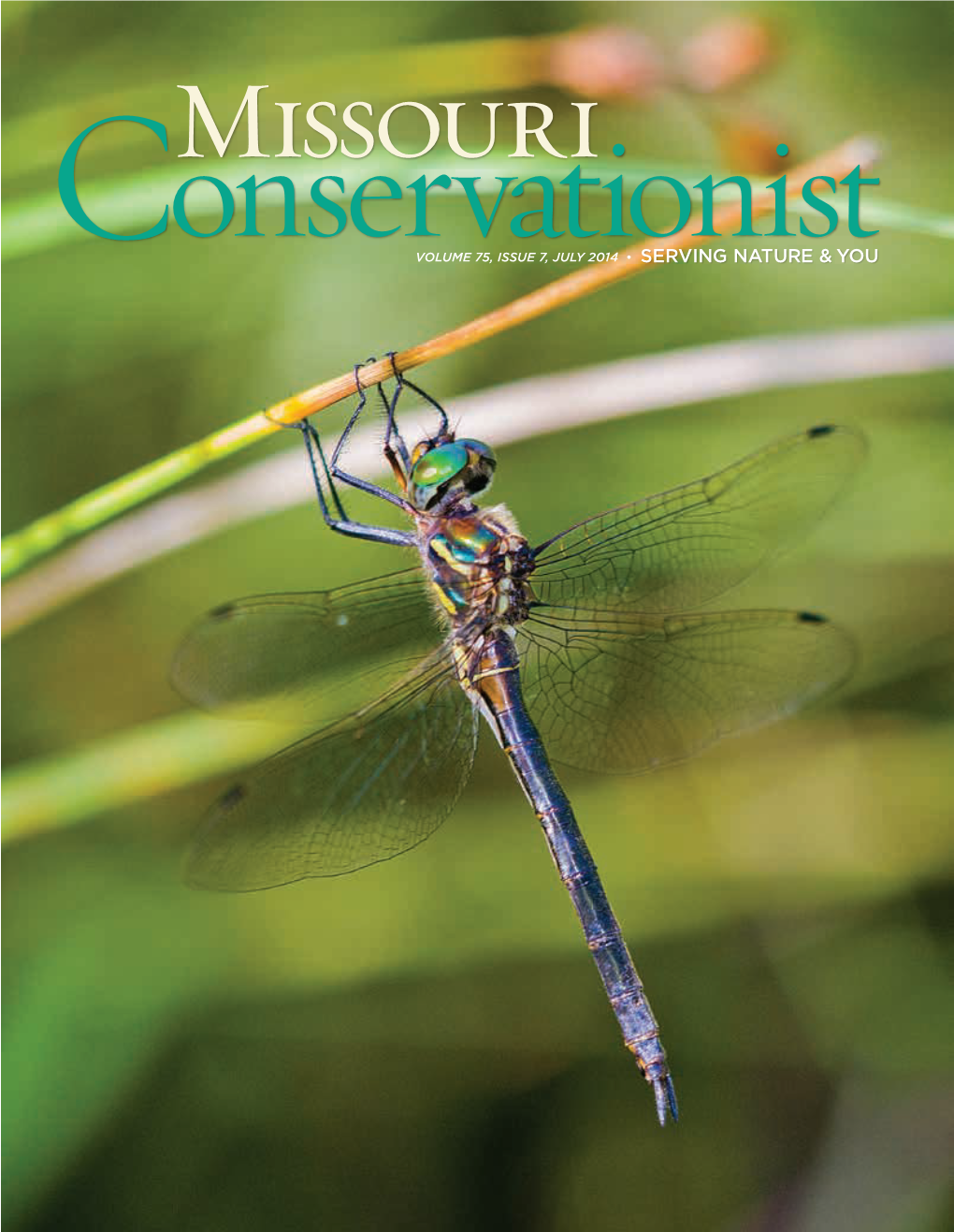 Missouri Conservationist July 2014 SUBSCRIPTIONS Phone: 573-522-4115, Ext