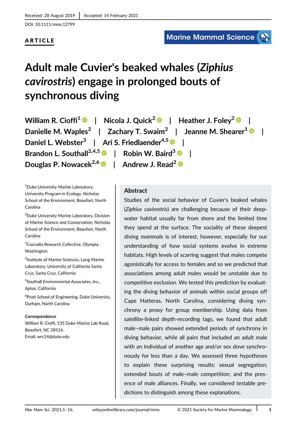 Adult Male Cuvier's Beaked Whales (Ziphius Cavirostris) Engage in Prolonged Bouts of Synchronous Diving