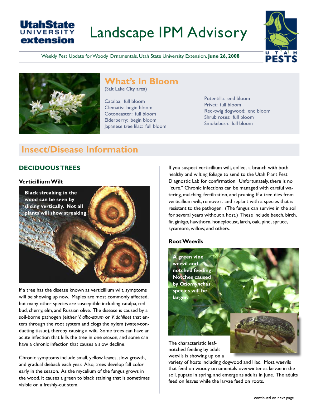 Verticillium Wilt, Root Weevils