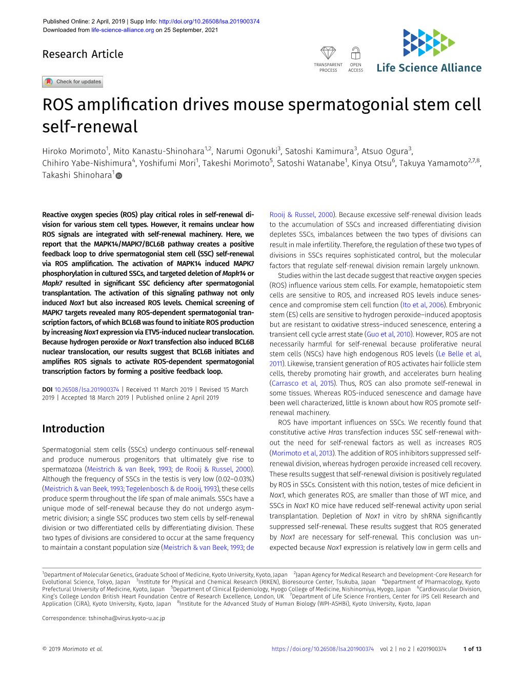 ROS Amplification Drives Mouse Spermatogonial Stem Cell Self-Renewal