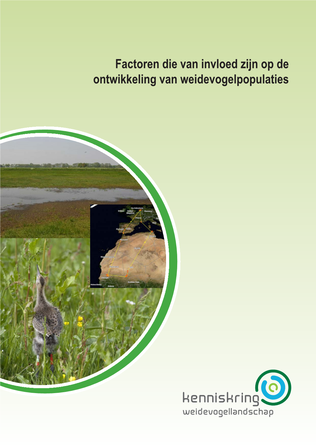 Factoren Die Van Invloed Zijn Op De Ontwikkeling Van Weidevogelpopulaties Factoren Die Van Invloed Zijn Op De Ontwikkeling Van Weidevogelpopulaties