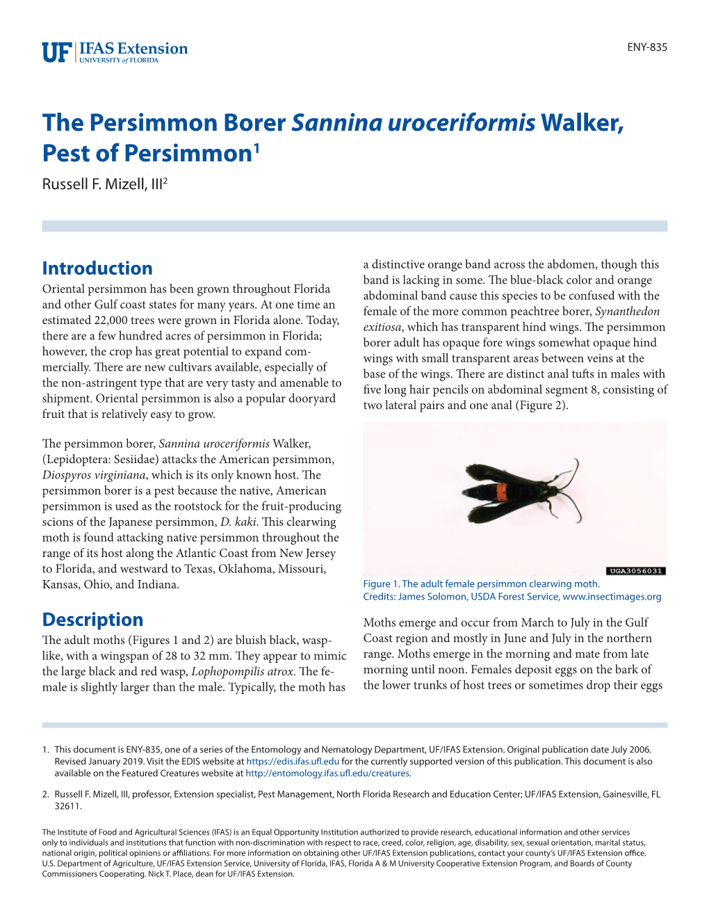 The Persimmon Borer Sannina Uroceriformis Walker, Pest of Persimmon1 Russell F