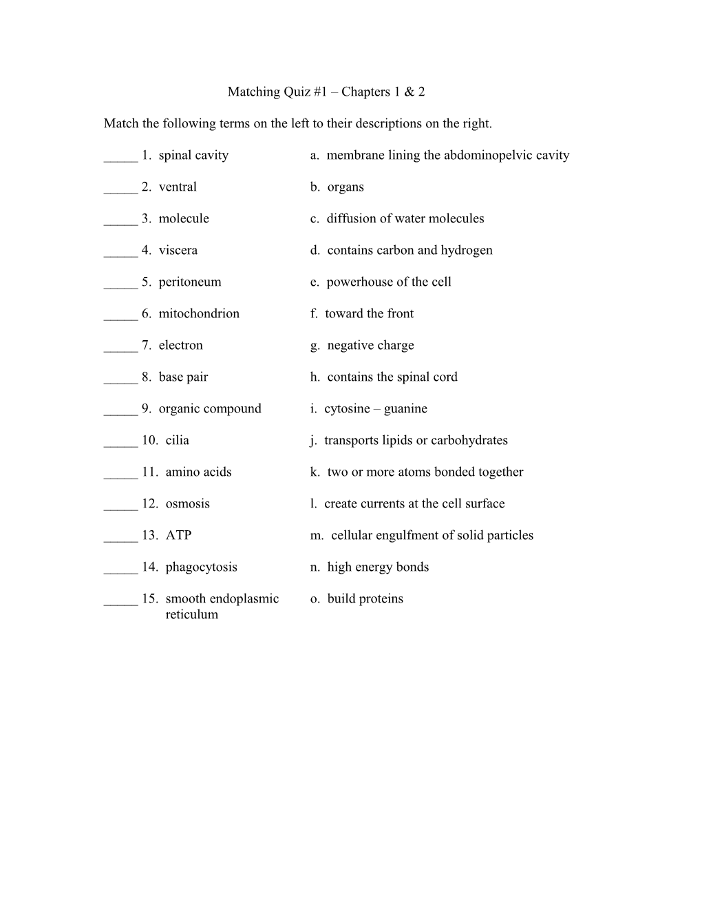 Match the Following Terms on the Left to Their Descriptions on the Right