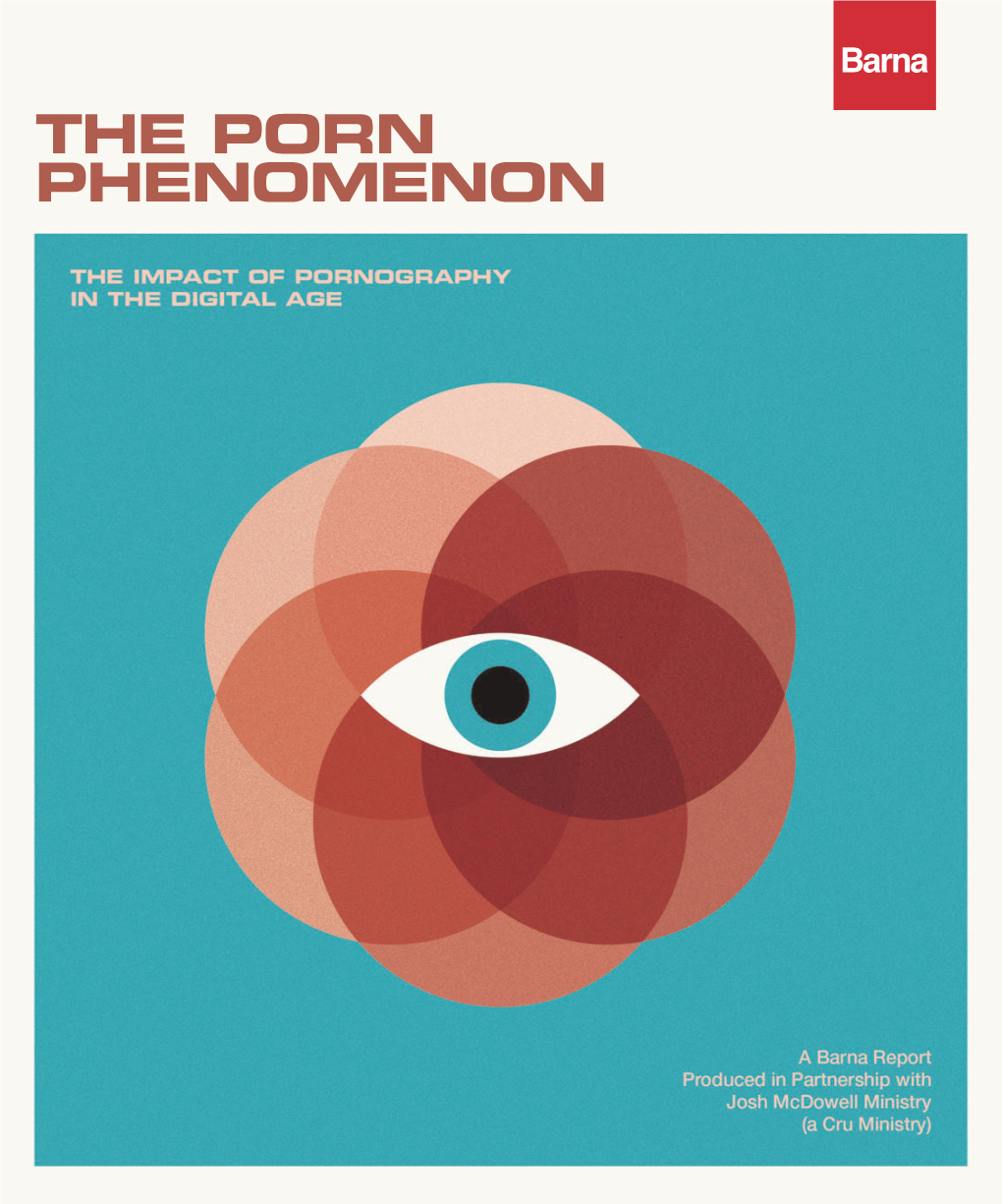 The Porn Phenomenon