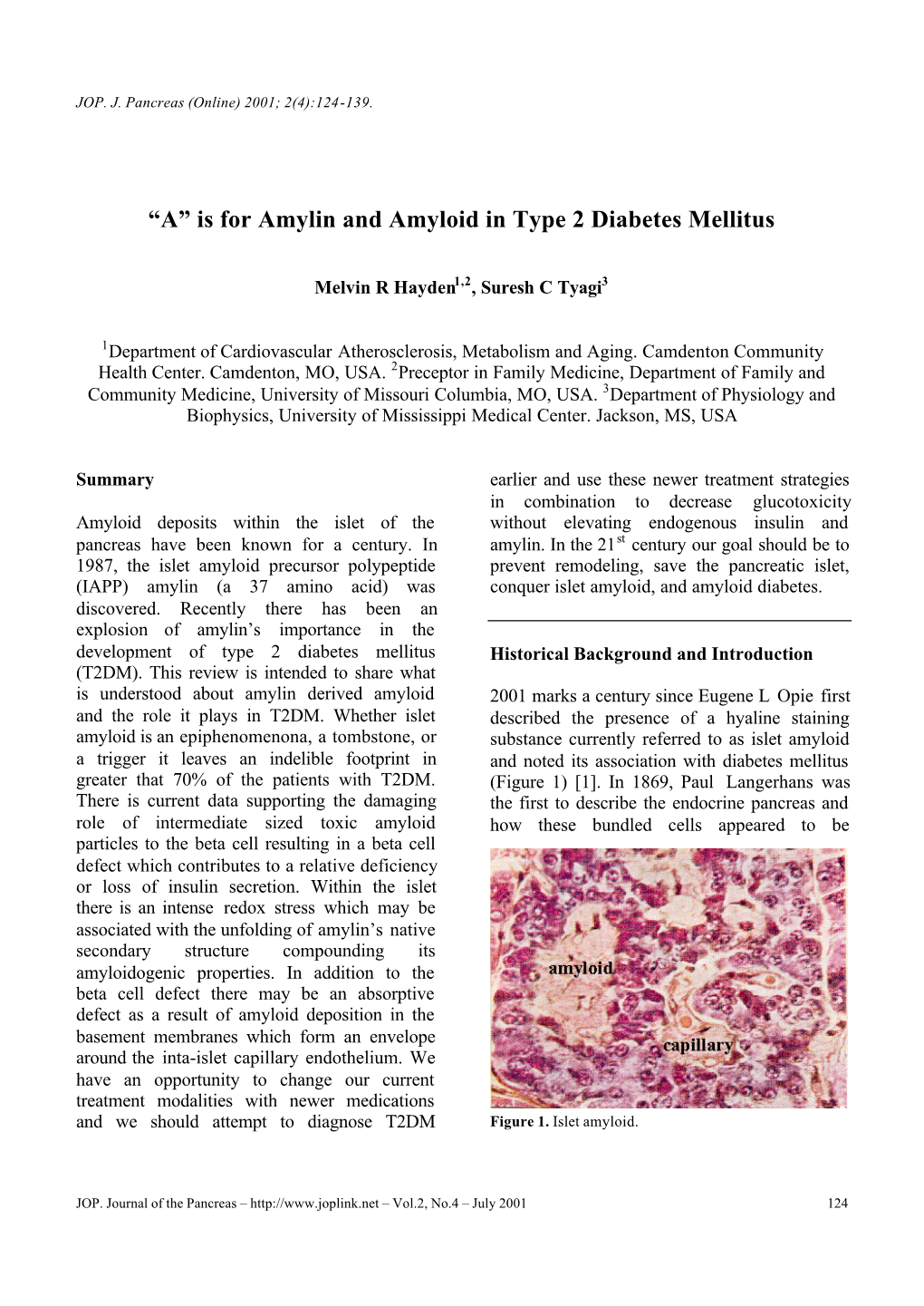 “A” Is for Amylin and Amyloid in Type 2 Diabetes Mellitus