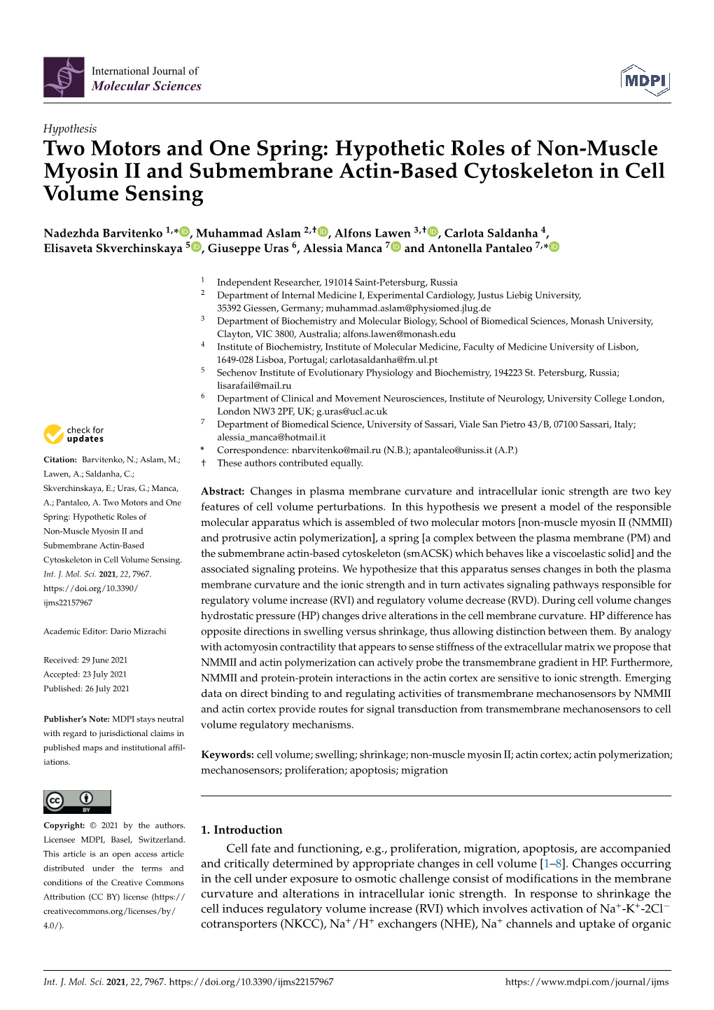 Hypothetic Roles of Non-Muscle Myosin II and Submembrane Actin-Based Cytoskeleton in Cell Volume Sensing