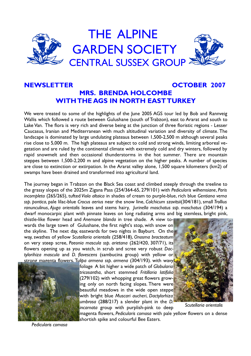 October 2007 Newsletter