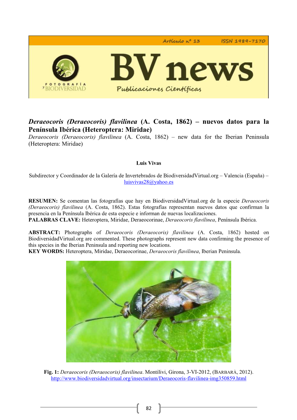 Deraeocoris (Deraeocoris) Flavilinea (A. Costa, 1862) – Nuevos Datos Para La Península Ibérica (Heteroptera: Miridae) Deraeocoris (Deraeocoris) Flavilinea (A