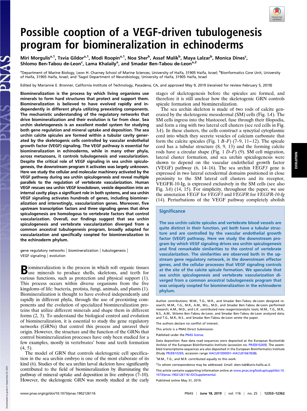 Possible Cooption of a VEGF-Driven Tubulogenesis Program for Biomineralization in Echinoderms