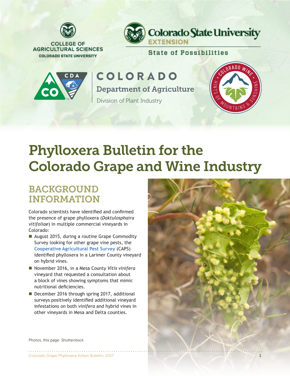 Phylloxera Bulletin for the Colorado Grape and Wine Industry