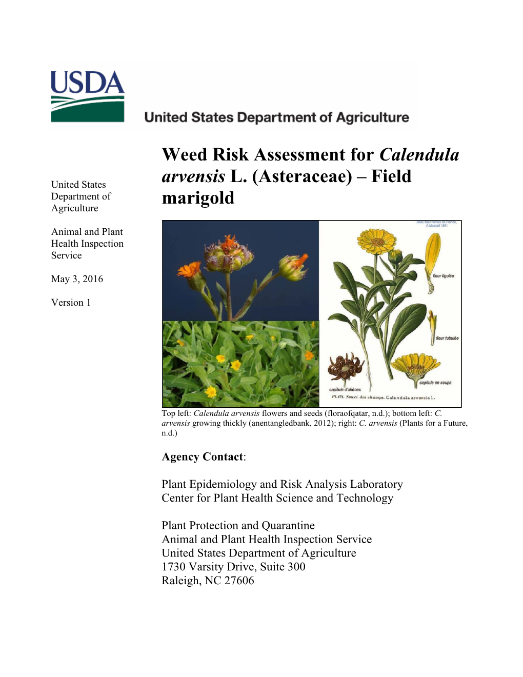 Weed Risk Assessment for Calendula Arvensis L. (Asteraceae)