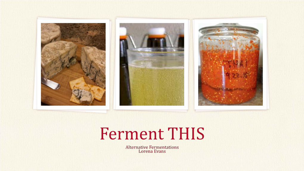 Ferment THIS Alternative Fermentations Lorena Evans Benefits of Alternative Fermented Products