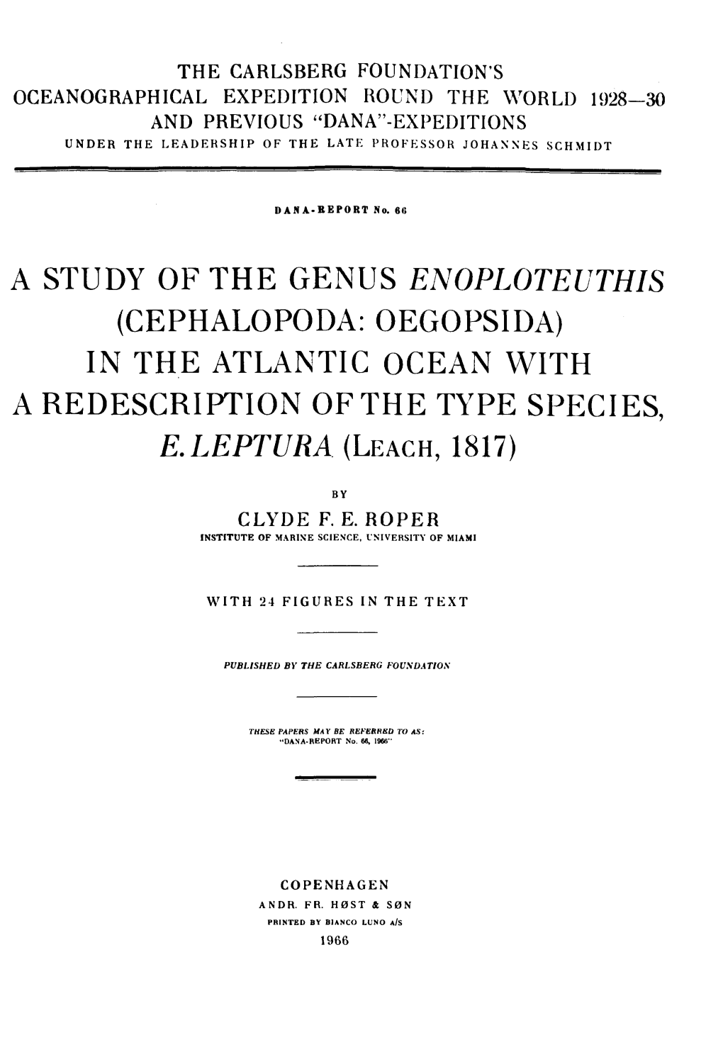 A STUDY of the GENUS ENOPLOTEUTHIS (CEPHALOPODA: OEGOPSIDA) in the ATLANTIC OCEAN with a REDESCRIPTION of the TYPE SPECIES, E.LEPTURA (Leach, 1817)