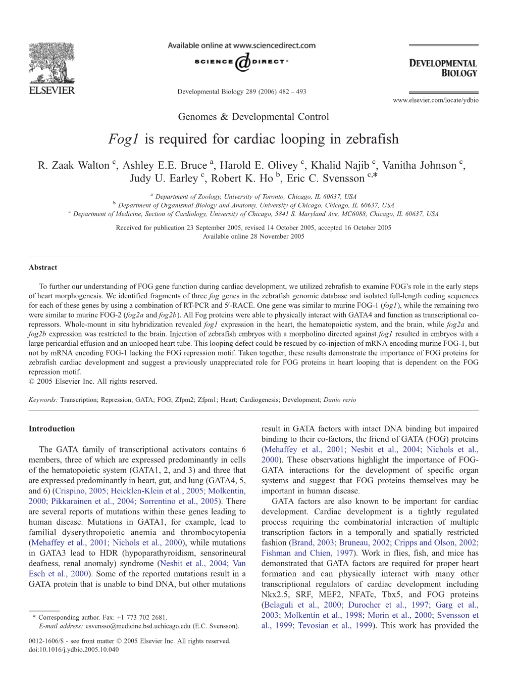 Fog1 Is Required for Cardiac Looping in Zebrafish