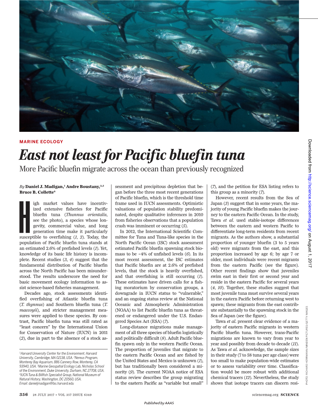 East Not Least for Pacific Bluefin Tuna More Pacific Bluefin Migrate Across the Ocean Than Previously Recognized