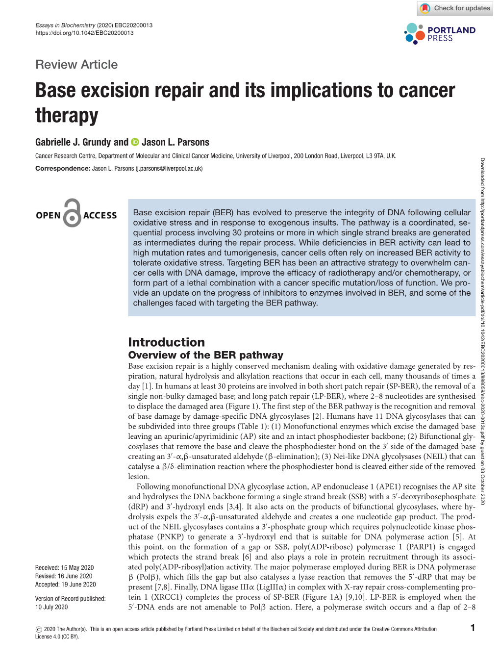 Base Excision Repair and Its Implications to Cancer Therapy