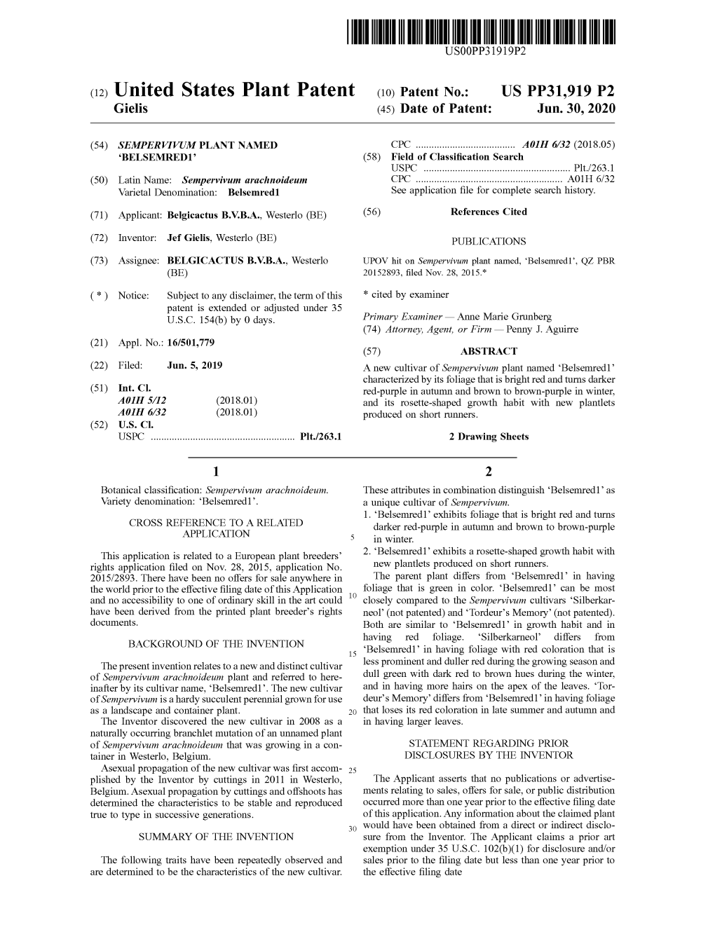 ( 12 ) United States Plant Patent ( 10 ) Patent No