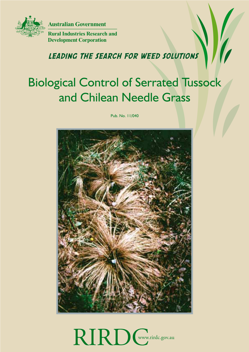 Biological Control of Serrated Tussock and Chilean Needle Grass
