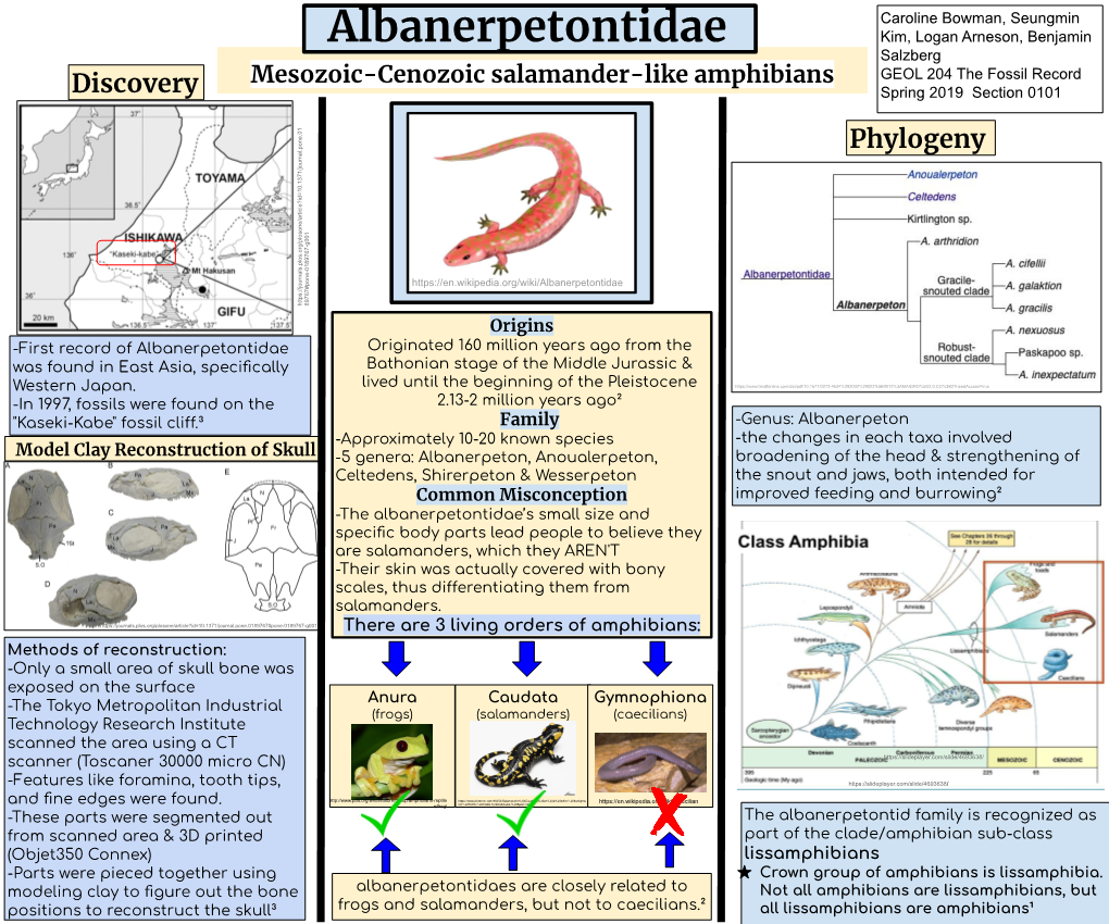 Phylogeny Discovery