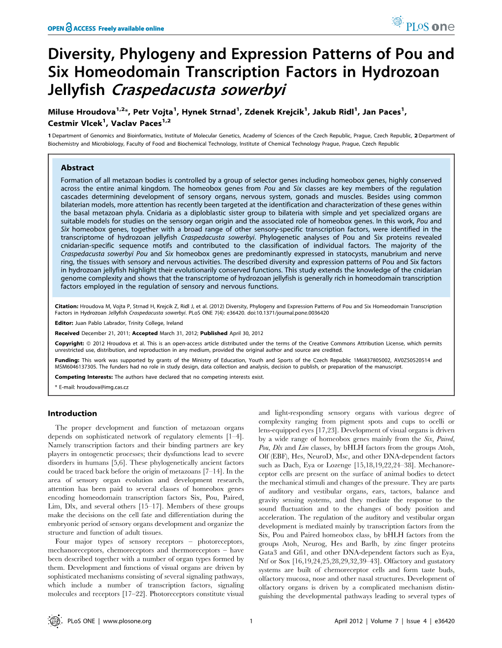 Jellyfish Craspedacusta Sowerbyi