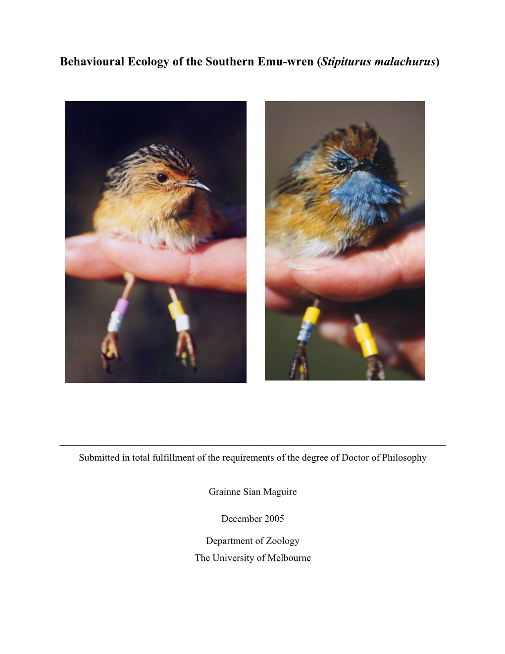 Behavioural Ecology of the Southern Emu-Wren ( Stipiturus Malachurus )