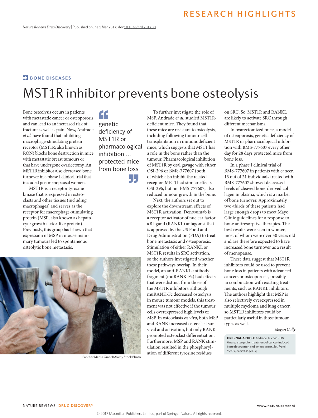 MST1R Inhibitor Prevents Bone Osteolysis