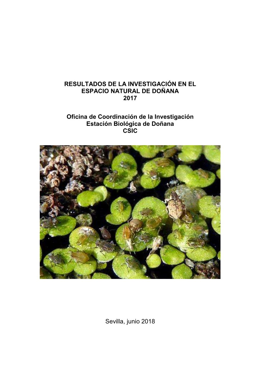 Resultados De La Investigación En El Espacio Natural De Doñana 2017