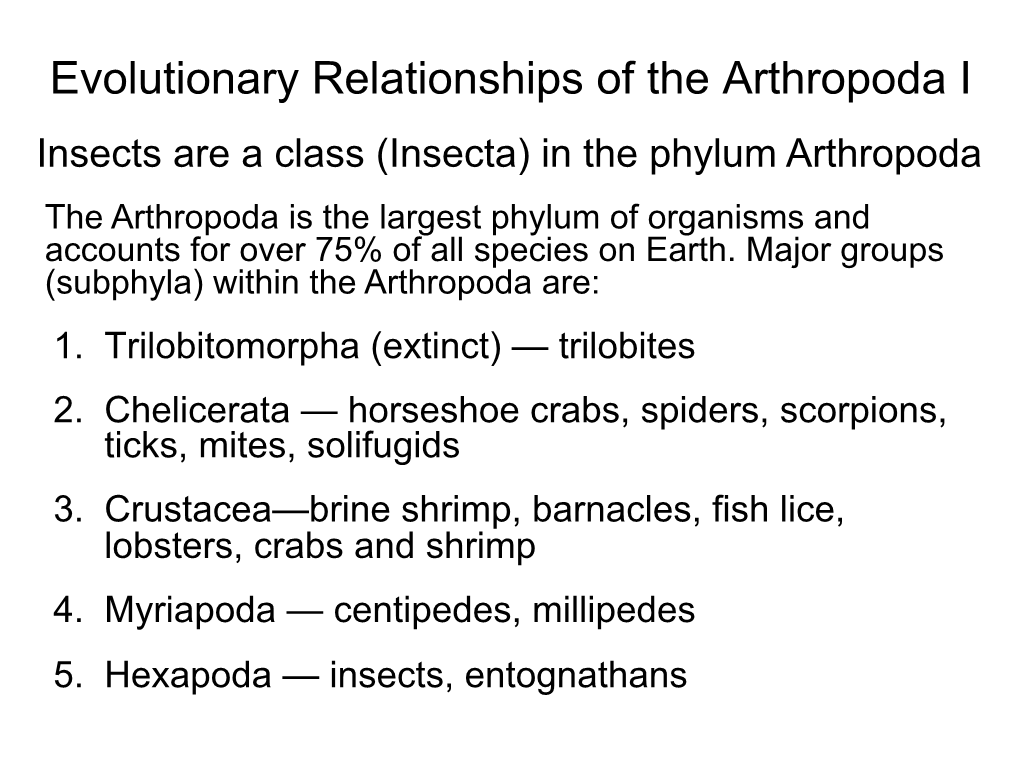 Evolutionary Relationships of the Arthropoda I