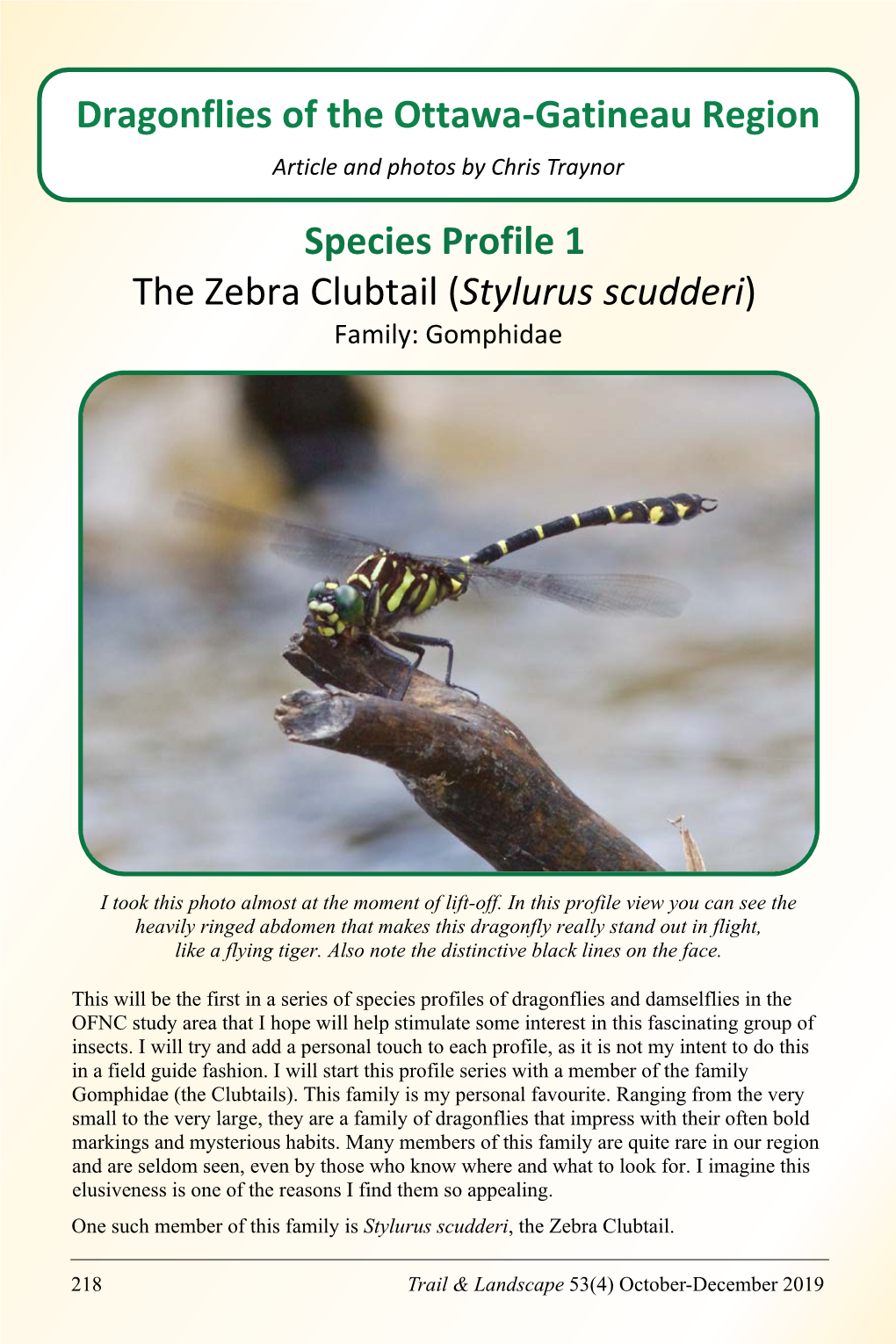 Species Profile 1 the Zebra Clubtail (Stylurus Scudderi) Dragonflies Of