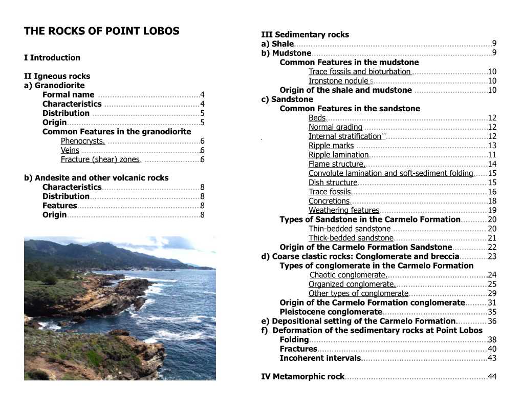 THE ROCKS of POINT LOBOS III Sedimentary Rocks A) Shale