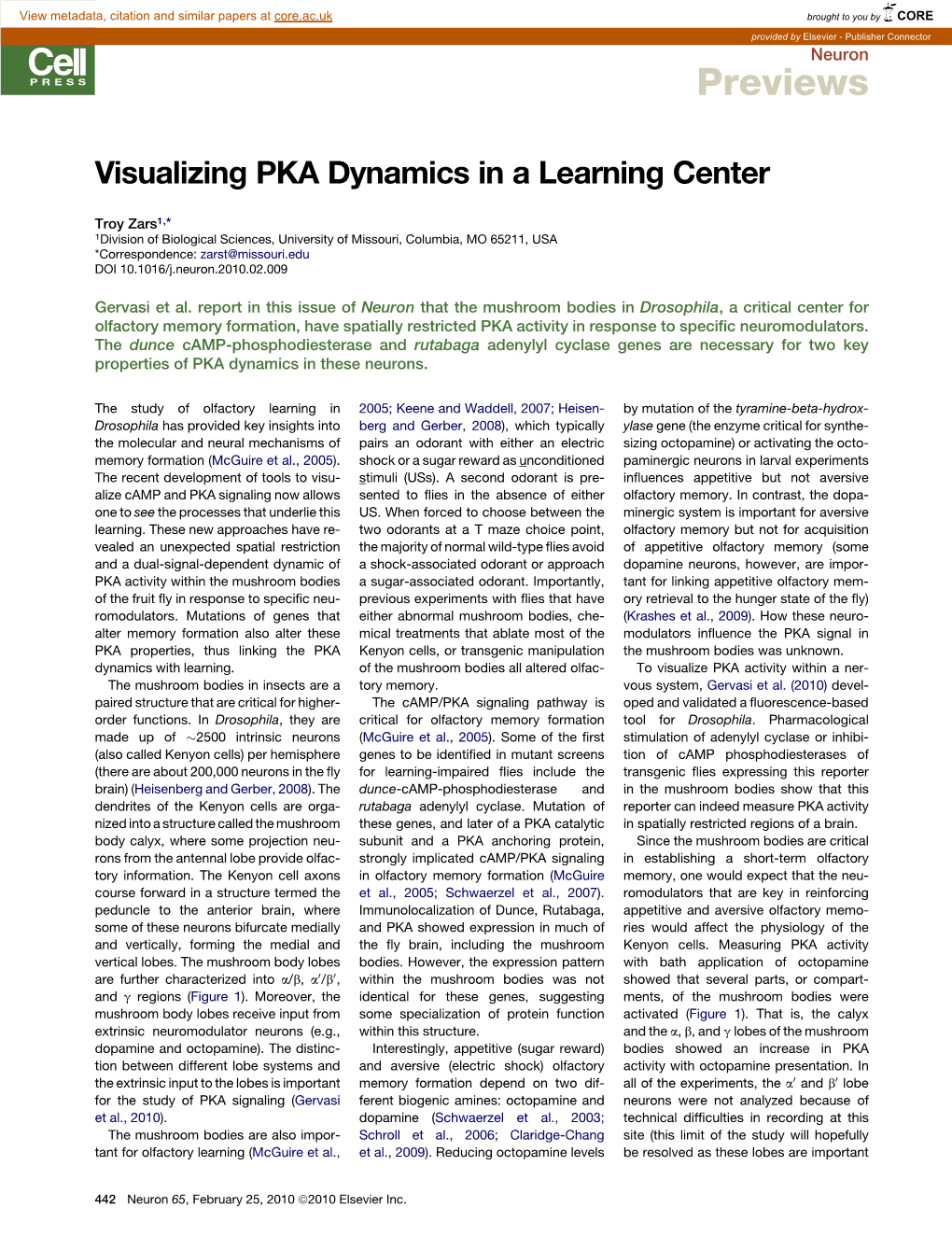 Visualizing PKA Dynamics in a Learning Center