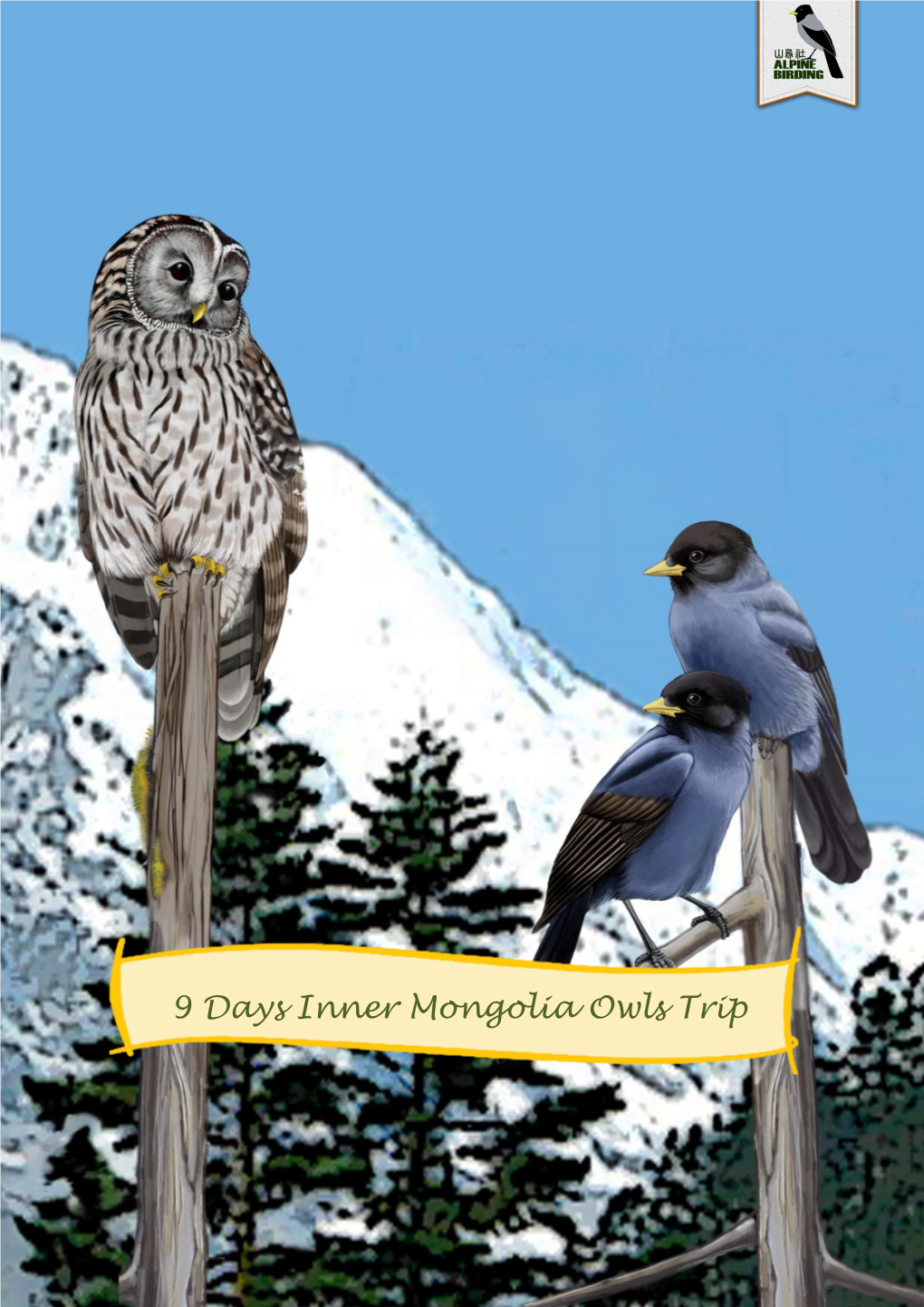 9 Days Inner Mongolia Owls Trip