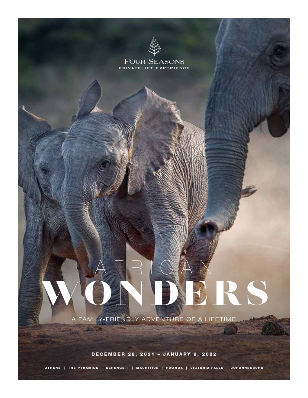 African Wonders a Family-Friendly Adventure of a Lifetime