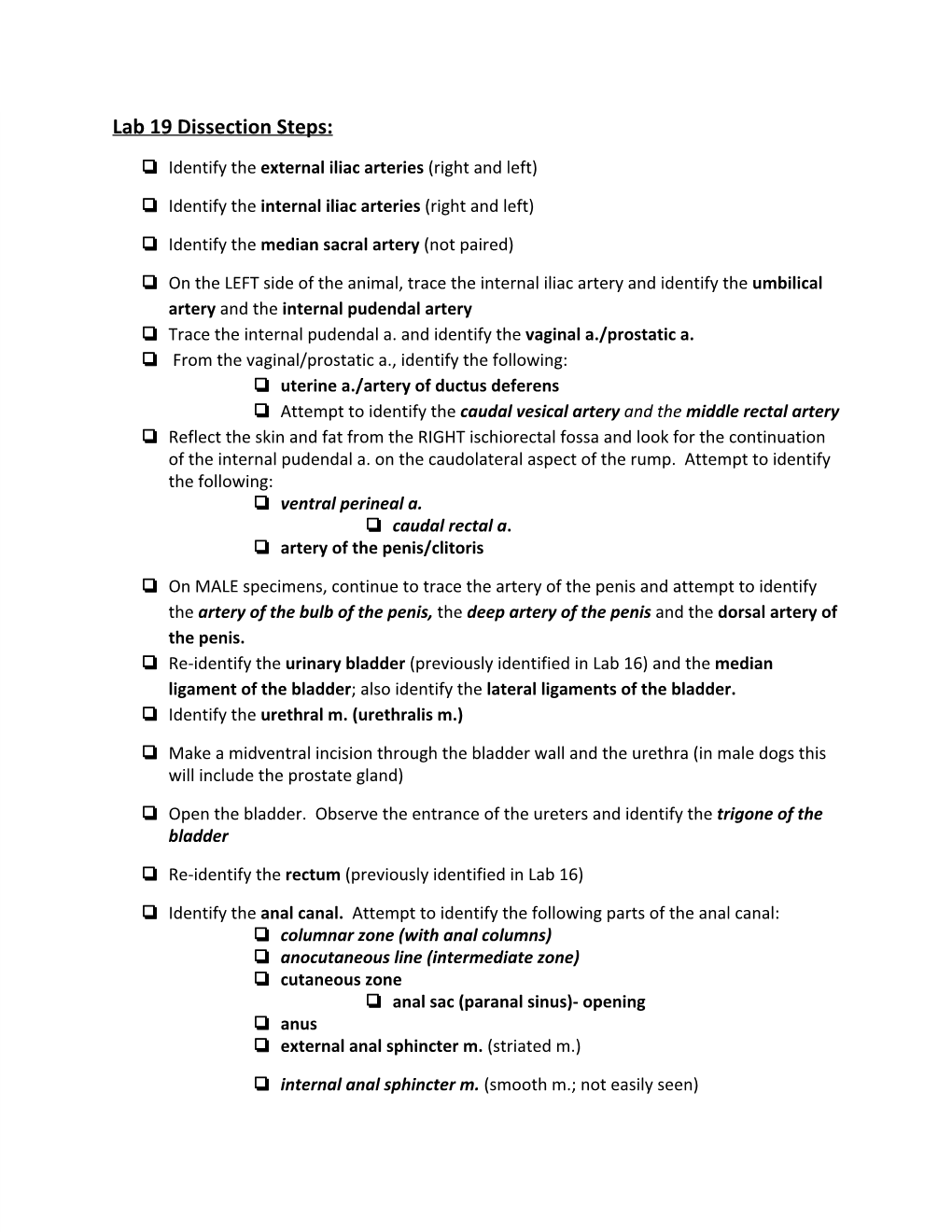 Lab 19 Dissection Steps