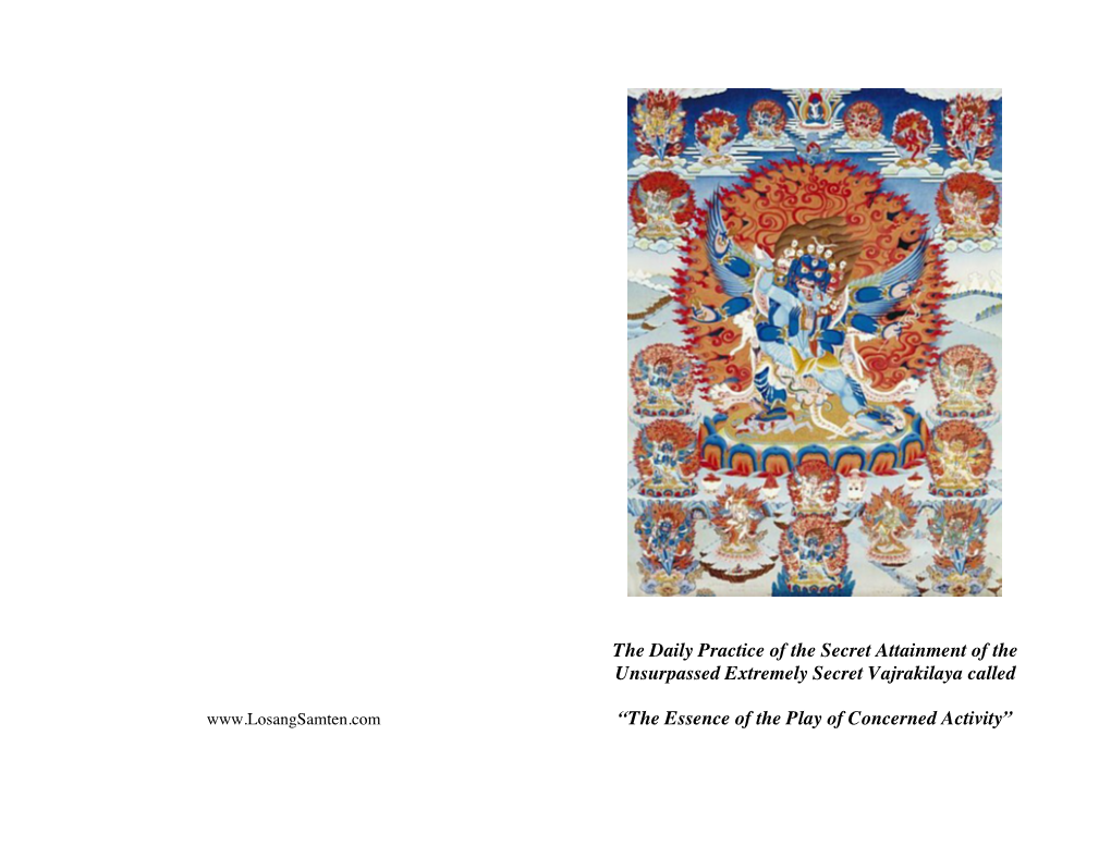 Vajrakilaya Called “The Essence of the Play of Concerned Activity”