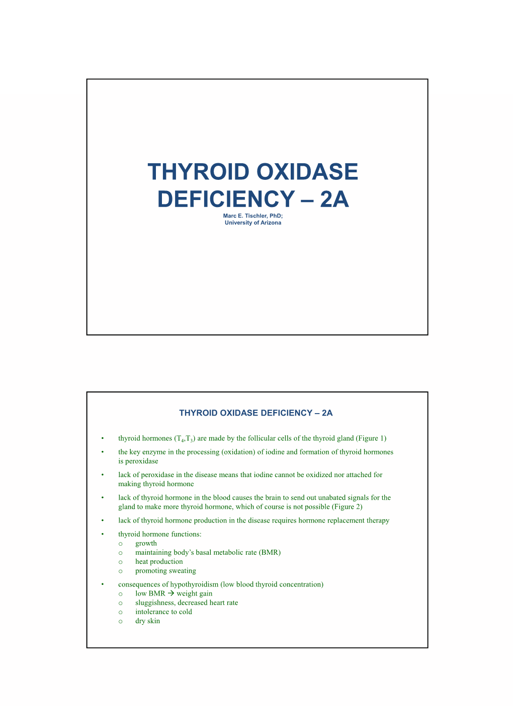 Thyroid Oxidase Thyroid Oxidase Deficiency – 2A