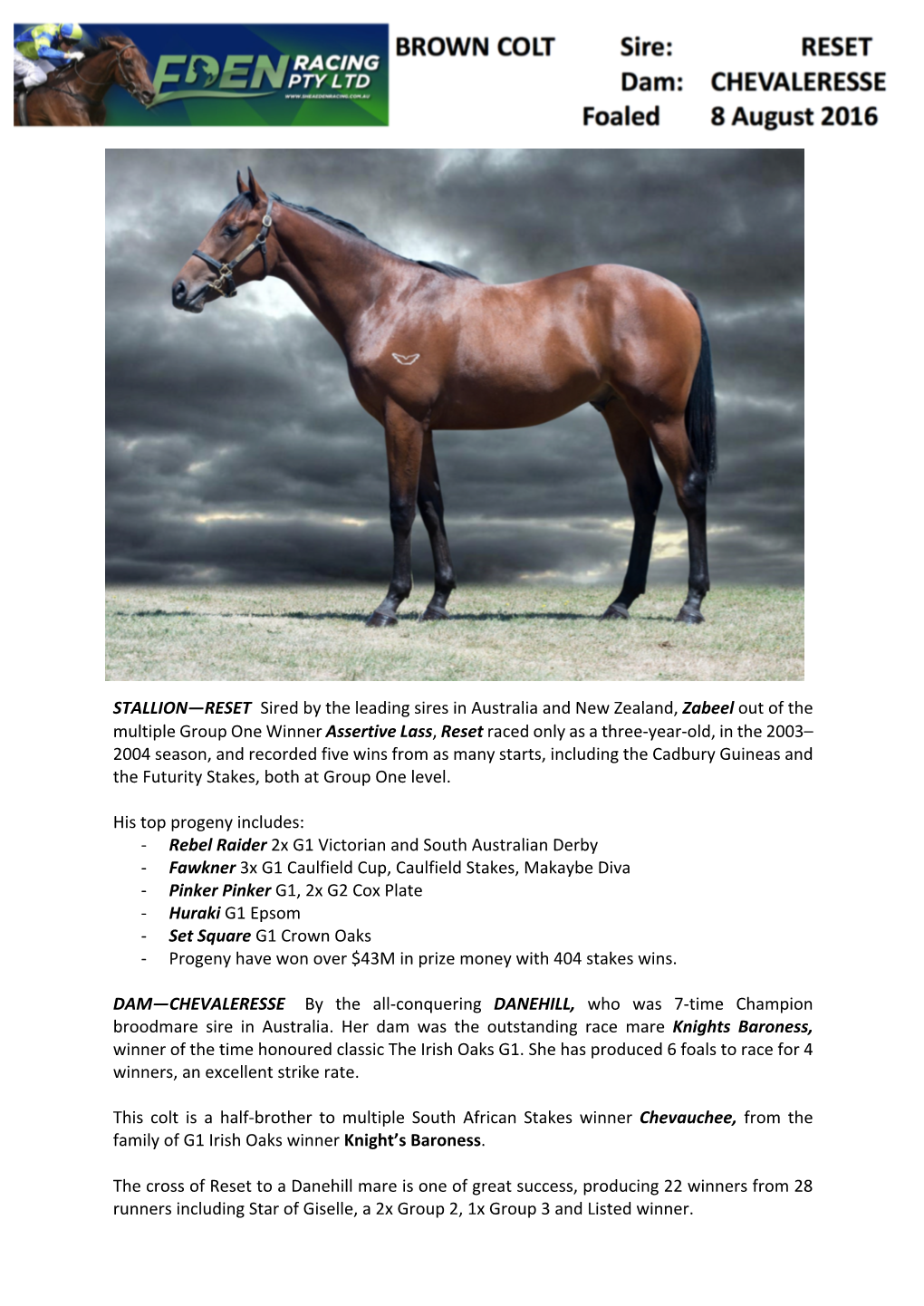 STALLION—RESET Sired by the Leading Sires in Australia and New