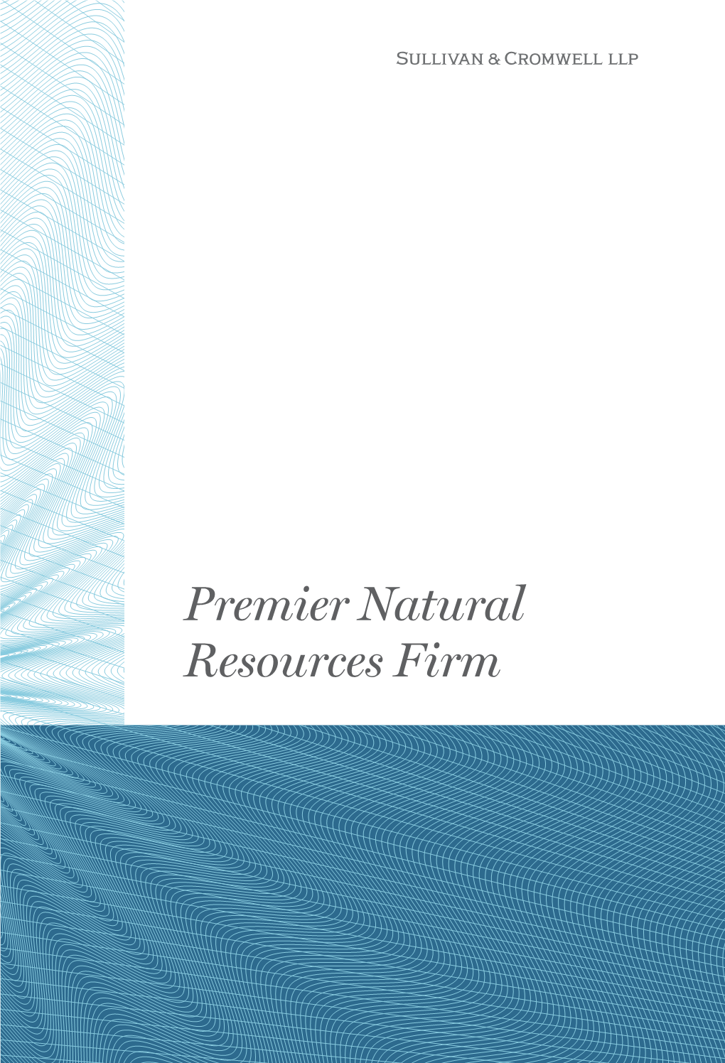 Premier Natural Resources Firm “They Go to Great Lengths to Understand Your Industry, Business and Specific Objectives