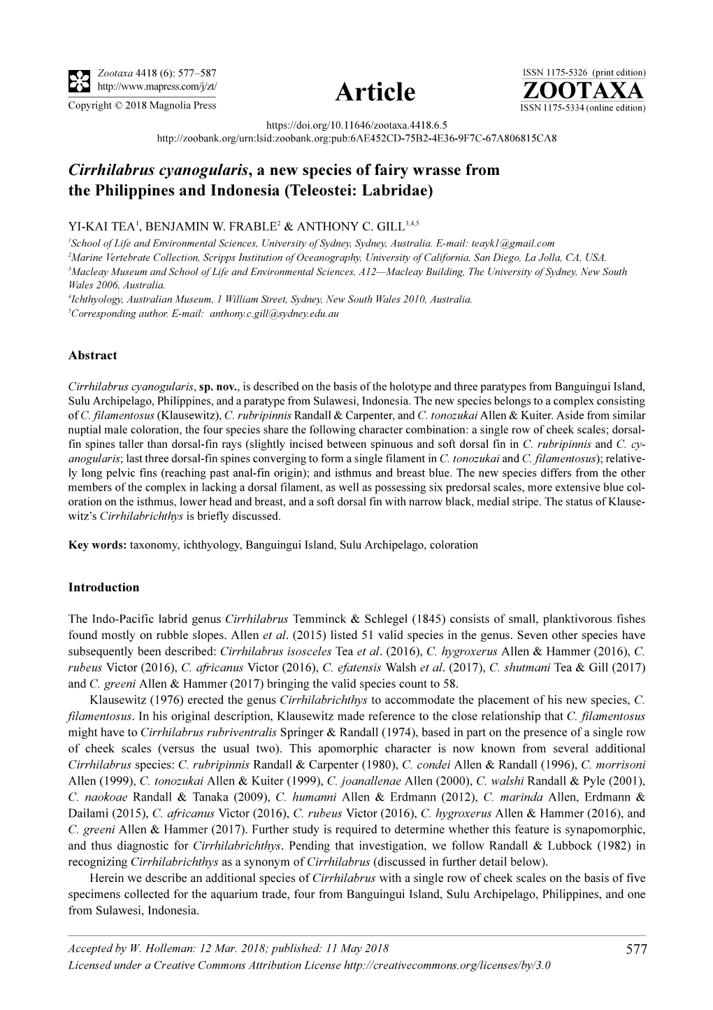 Cirrhilabrus Cyanogularis, a New Species of Fairy Wrasse from the Philippines and Indonesia (Teleostei: Labridae)