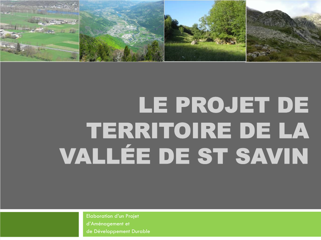 Le Projet De Territoire De La Vallée De St Savin