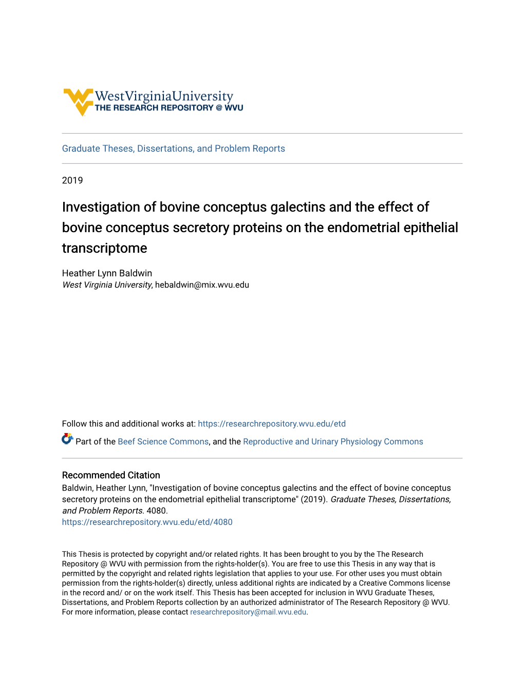 Investigation of Bovine Conceptus Galectins and the Effect of Bovine Conceptus Secretory Proteins on the Endometrial Epithelial Transcriptome